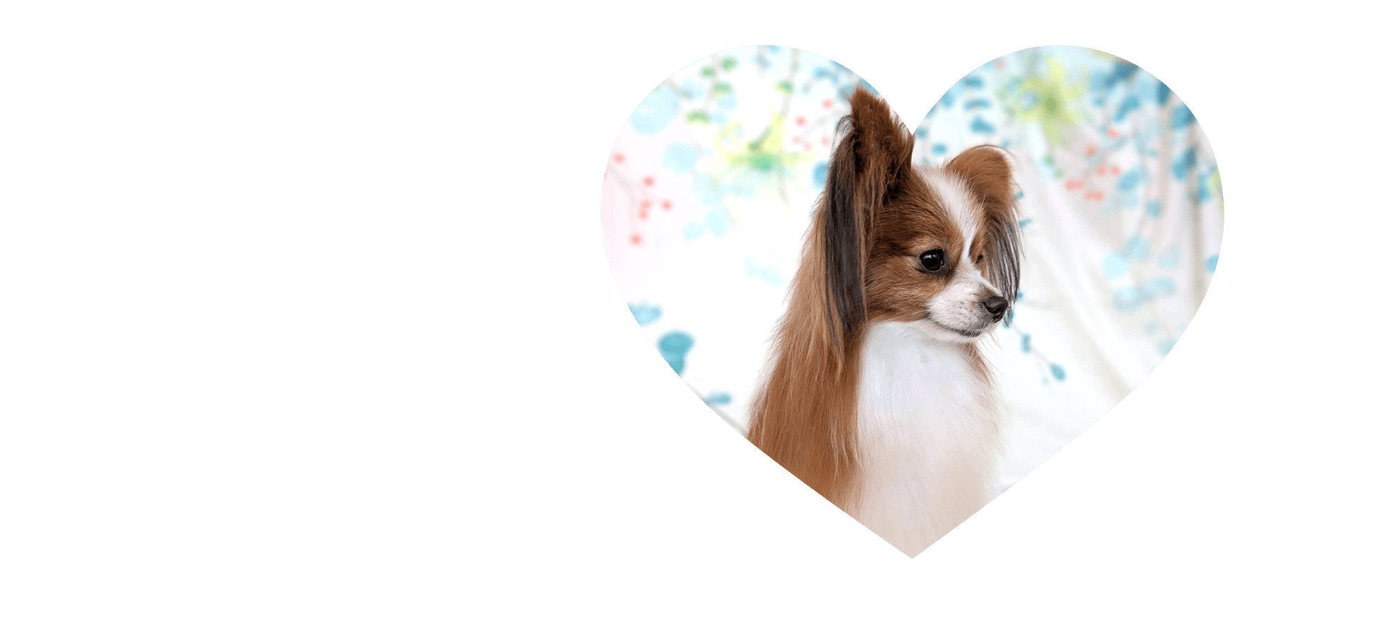 はじめての出会いから、ずっとそばに―― あなたに会える日を待っています。