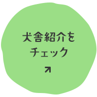 しあわせな出会いは、ここから　犬舎紹介をチェック